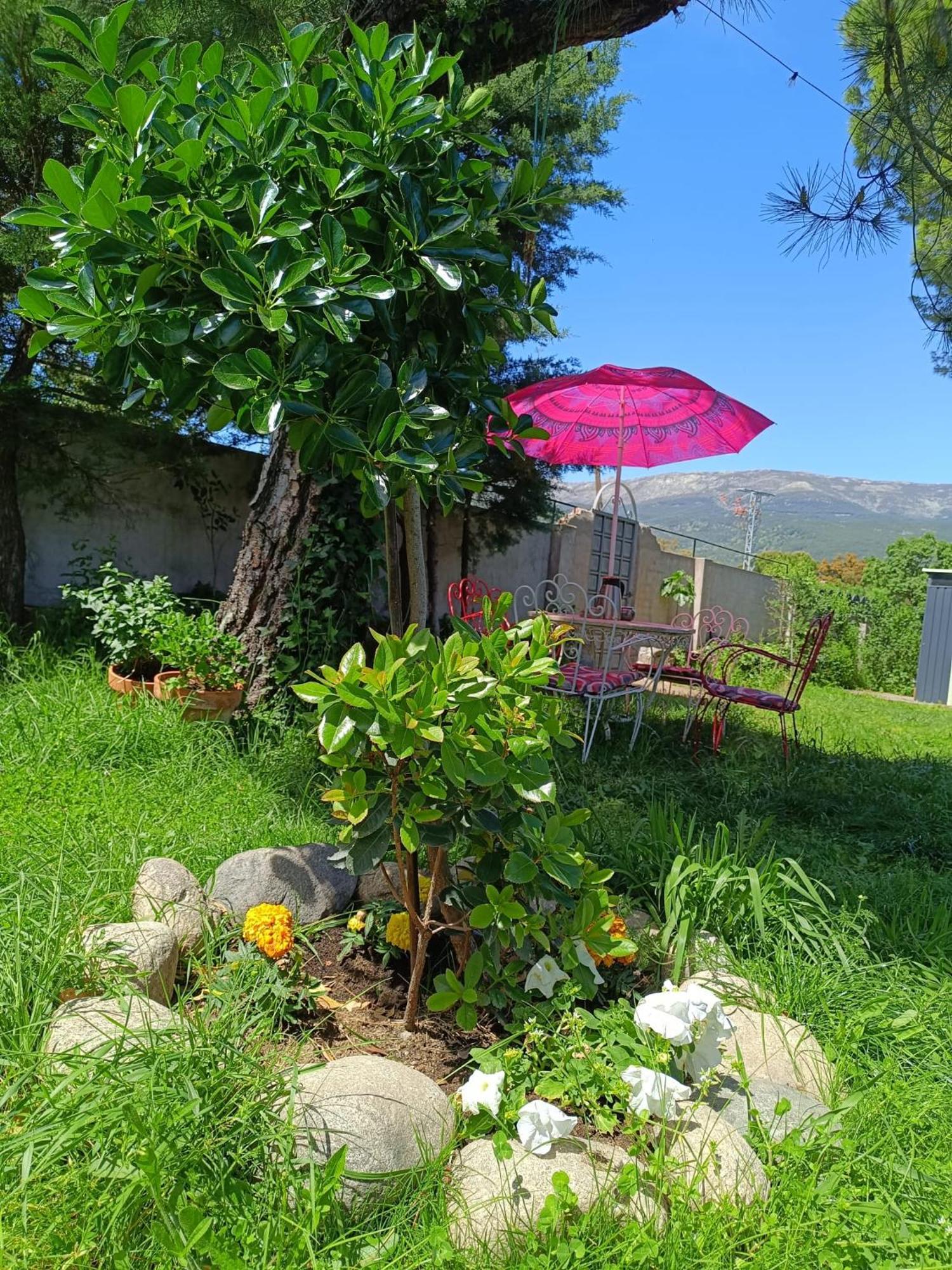 Holiday home Ardilla